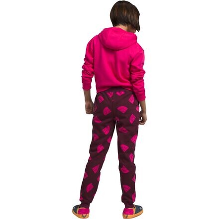 

Флисовый пуловер с капюшоном Camp – для девочек The North Face, цвет Mr. Pink
