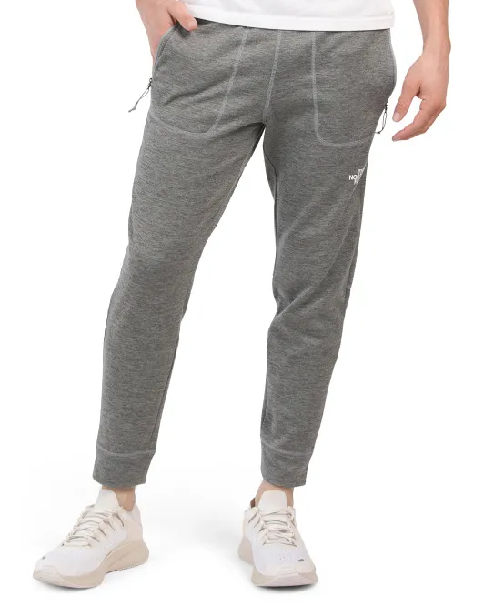 

Джоггеры Каньонлендс The North Face, серый