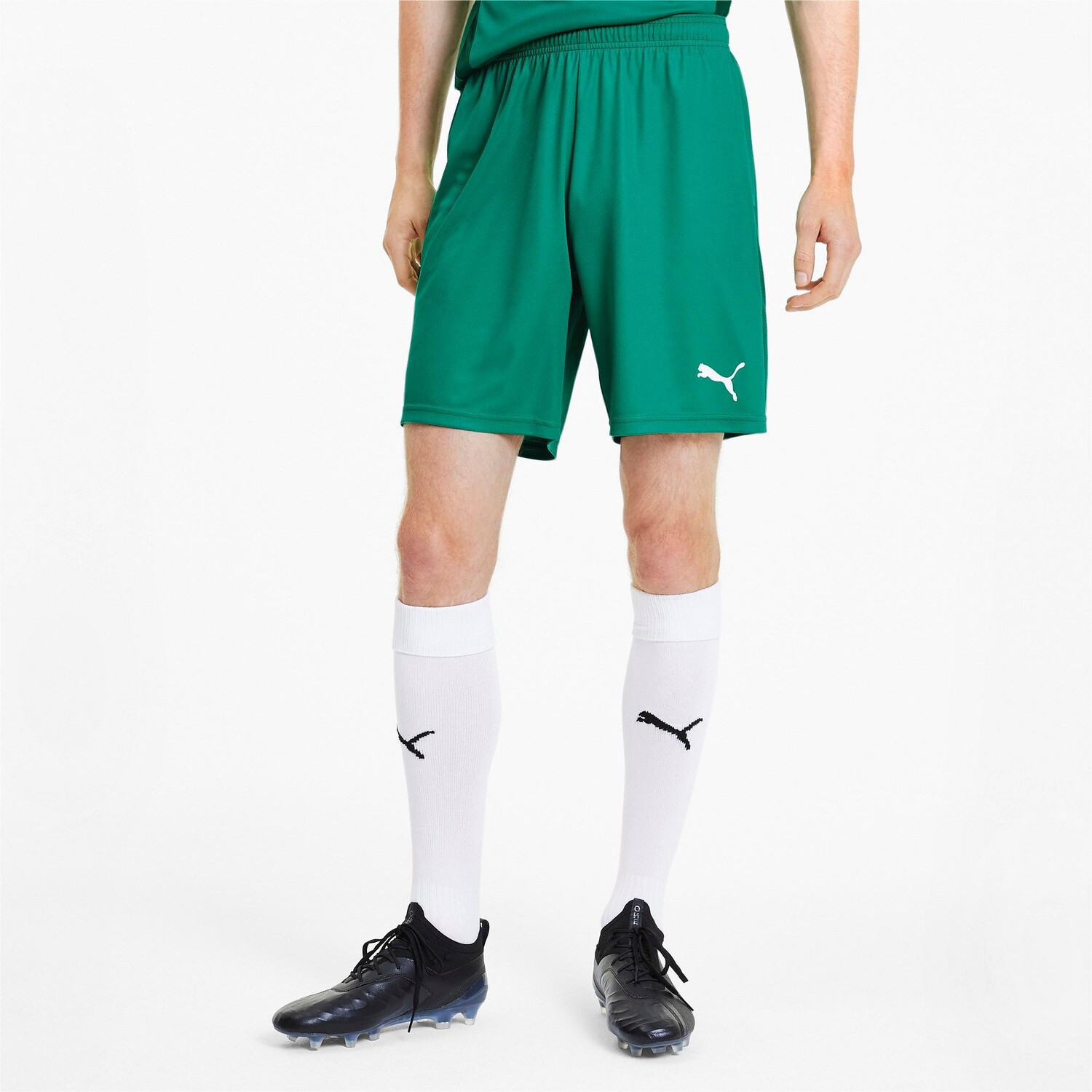 

Мужская трикотажные шорты Puma teamGOAL 23, зеленый