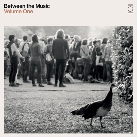 

Виниловая пластинка Various Artists - Between the Music