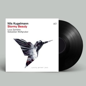 Виниловая пластинка Kugelmann Nils - Stormy Beauty