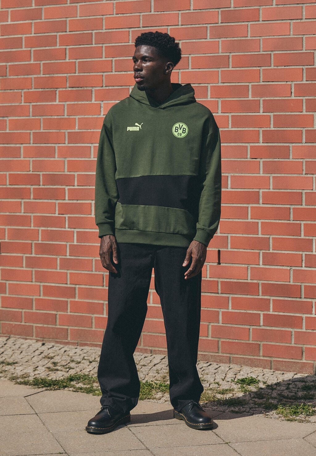 

Толстовка с символикой BVB BORUSSIA DORTMUND FTBLCULTURE+ HOODIE Puma, хаки