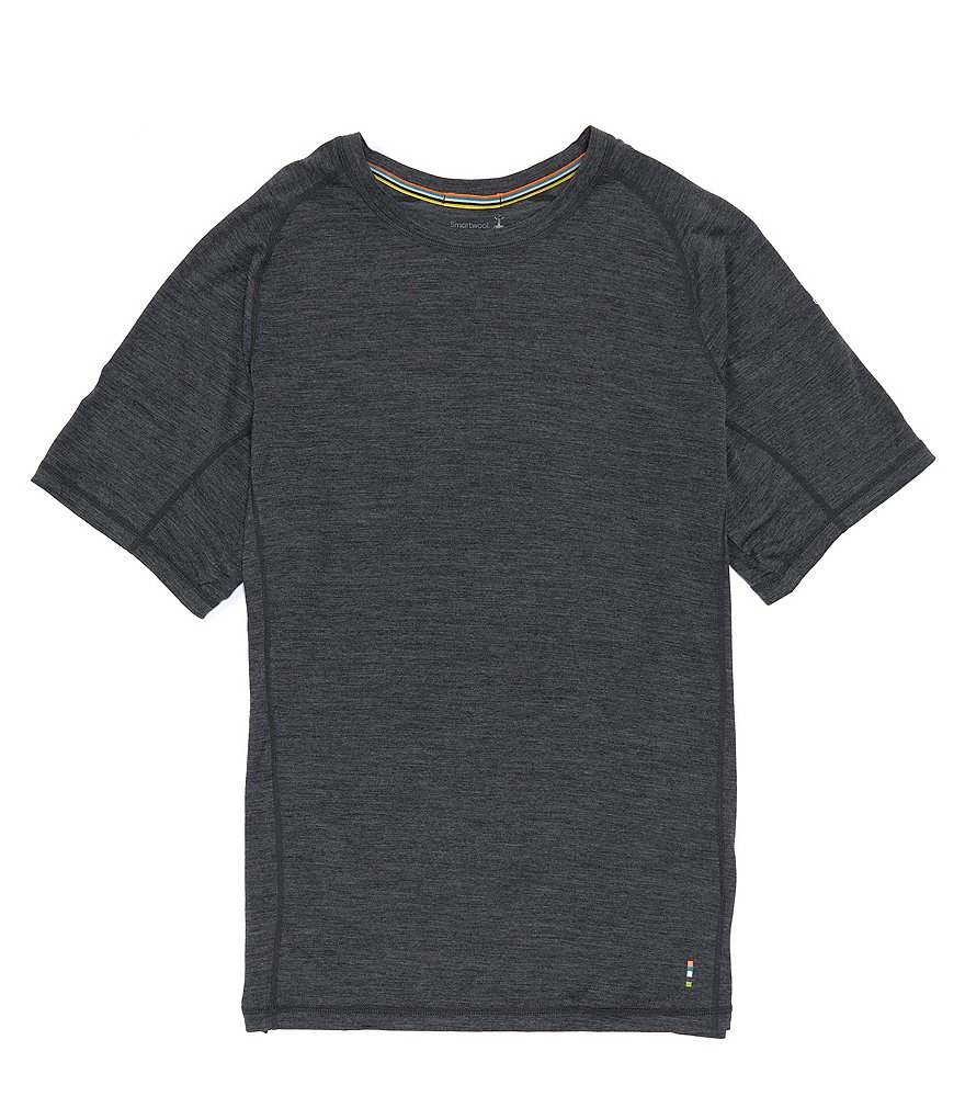 цена Спортивная футболка SmartWool Active Ultralite с короткими рукавами, серый