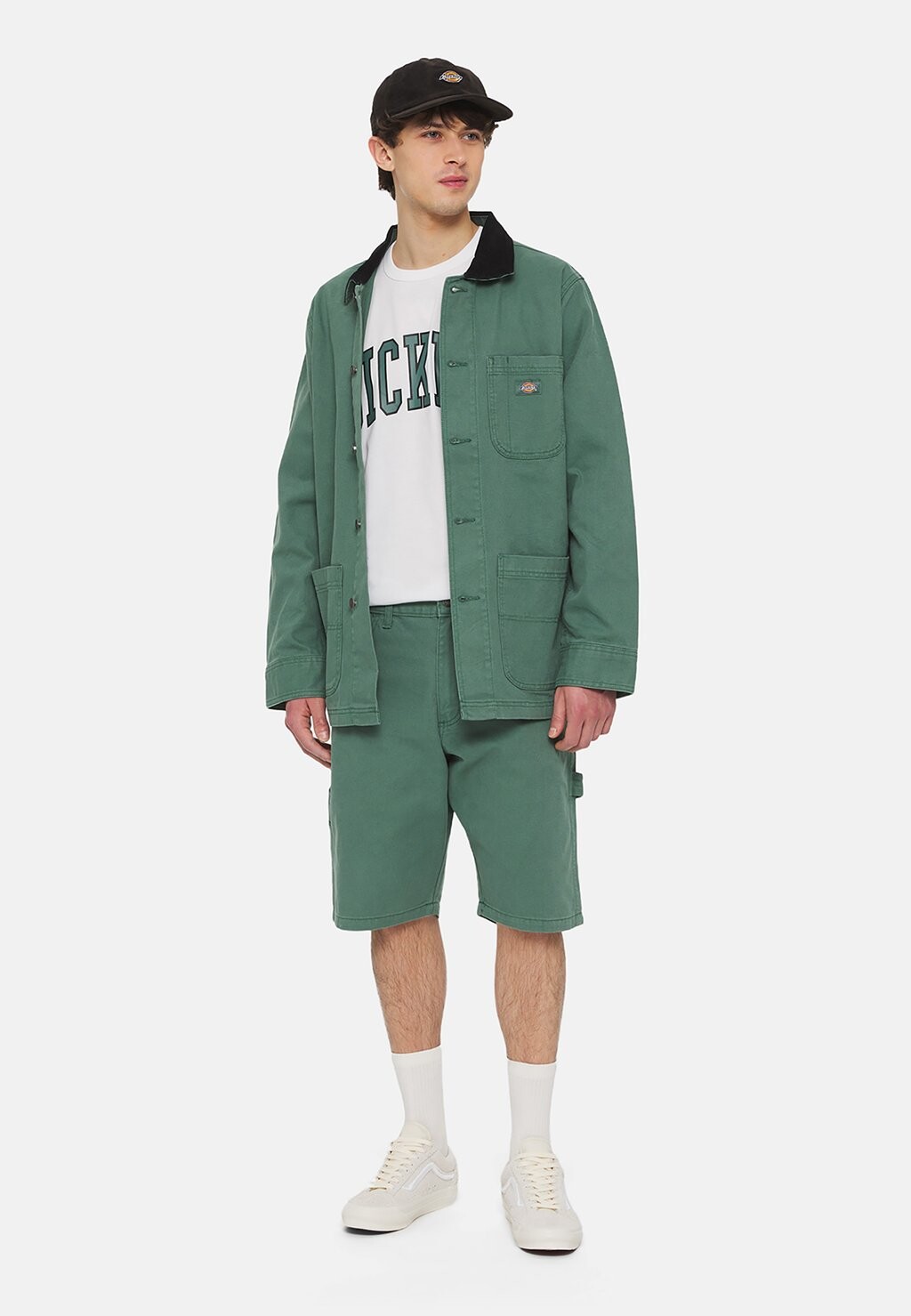 

Футболка с принтом AITKIN TEE Dickies, цвет wht dark forest