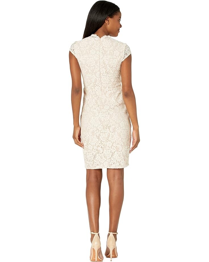 Платье Vince Camuto Lace Bodycon with Cap Sleeves and Scallop V-Neck, слоновая кость