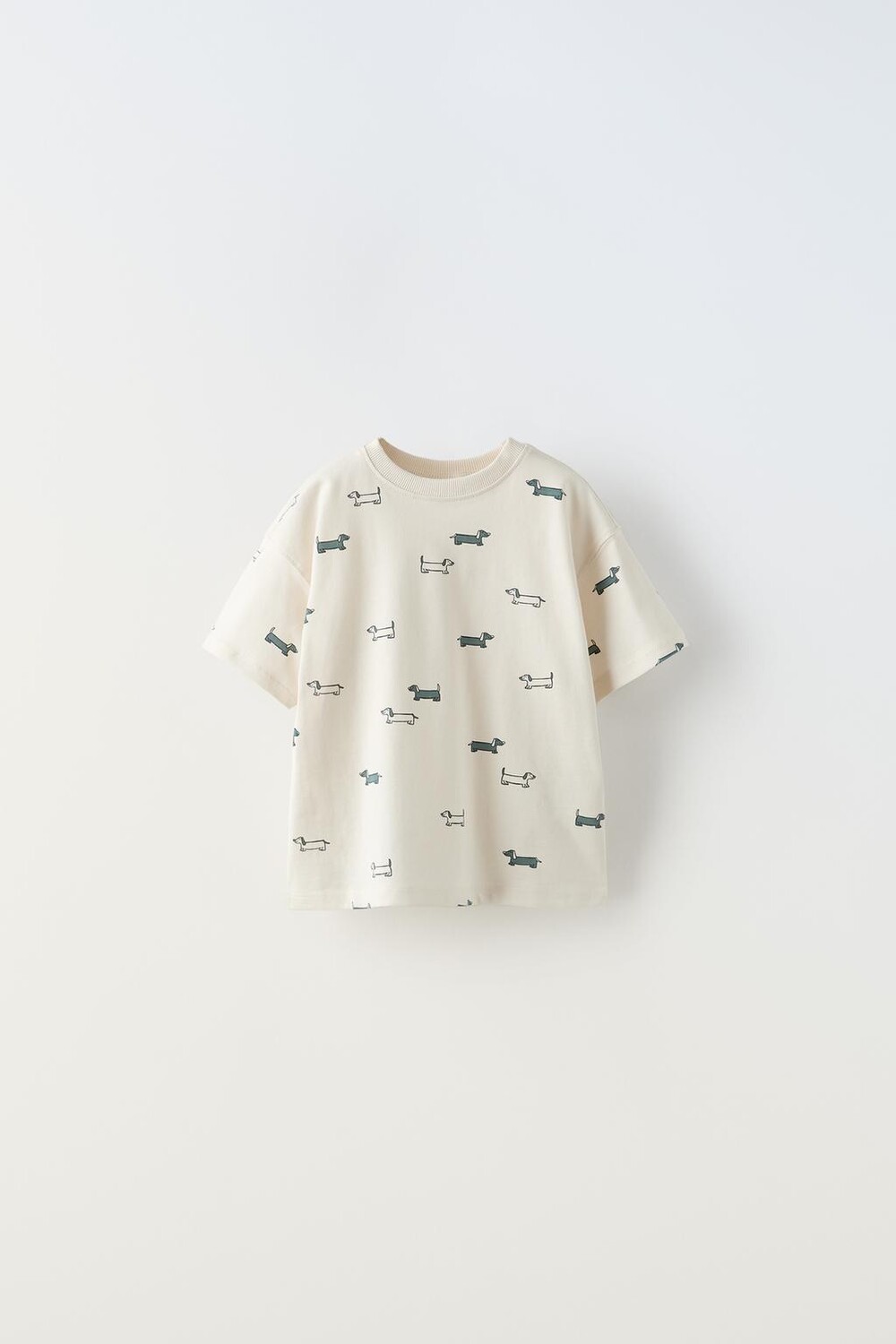 

Футболка с принтом ZARA, белый