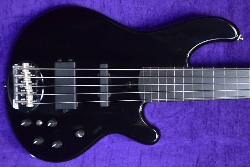 

Басс гитара Lakland Skyline 55-02 FRETLESS, Black Sparkle / Lined-Ebony