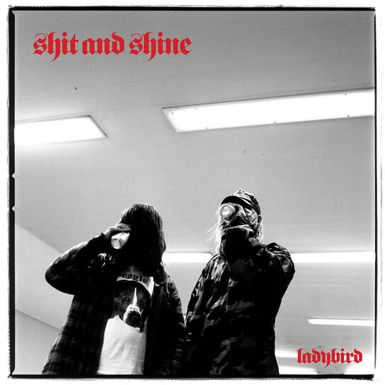 

Виниловая пластинка Shit And Shine - Ladybird
