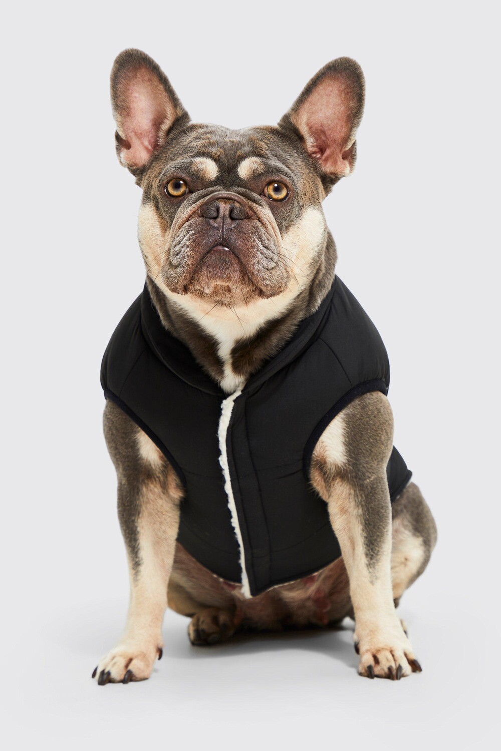 

Двустороннее пальто для собак boohooman borg Boohoo, черный