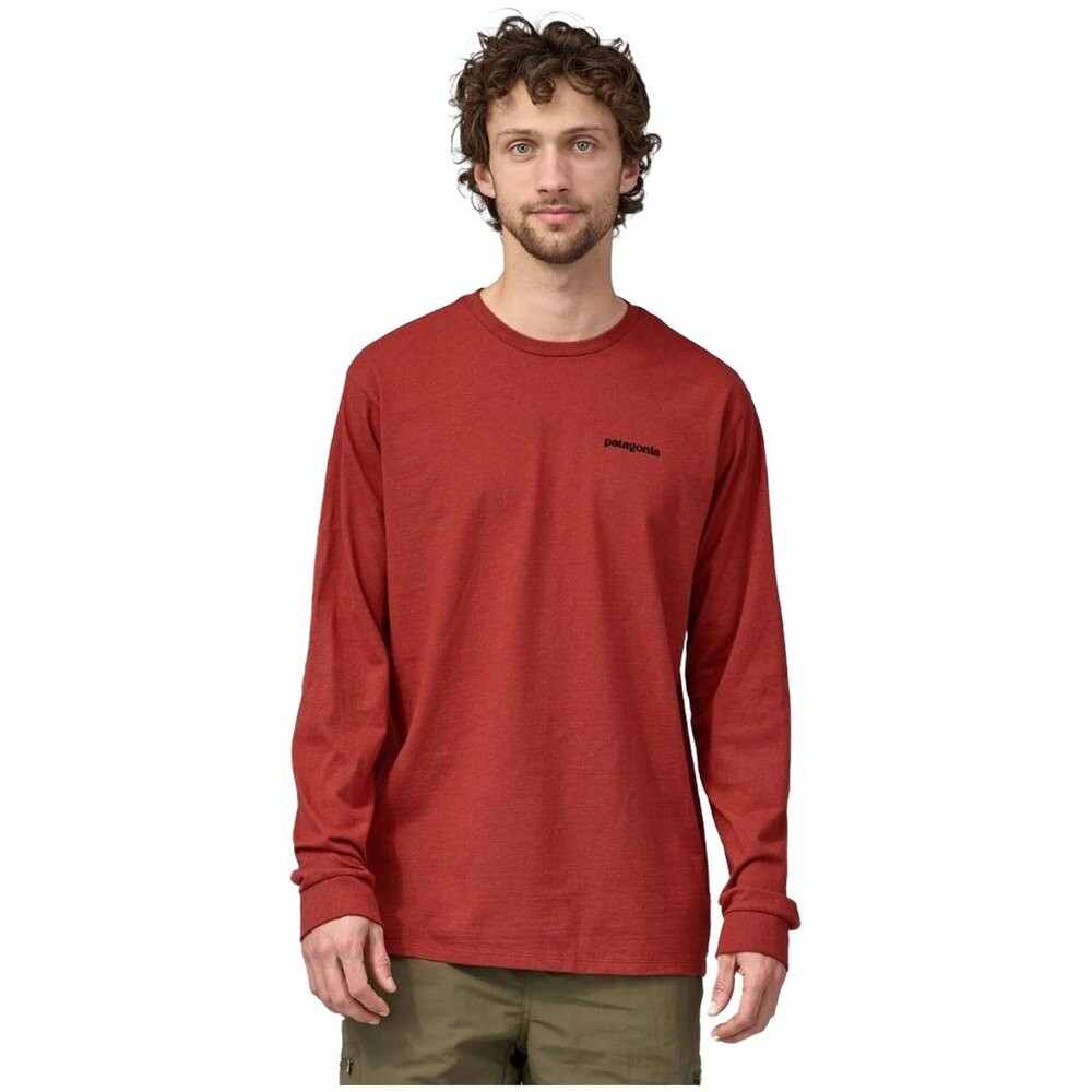 

Спортивная футболка Patagonia P-6 Logo Responsibili, красный, Коричневый