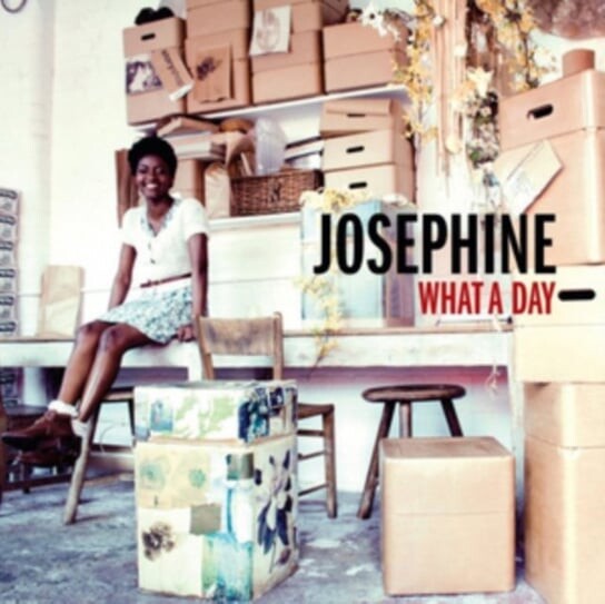 

Виниловая пластинка Josephine - What A Day
