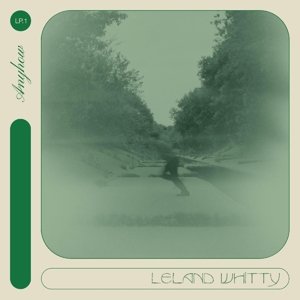 Виниловая пластинка Whitty Leland - Anyhow
