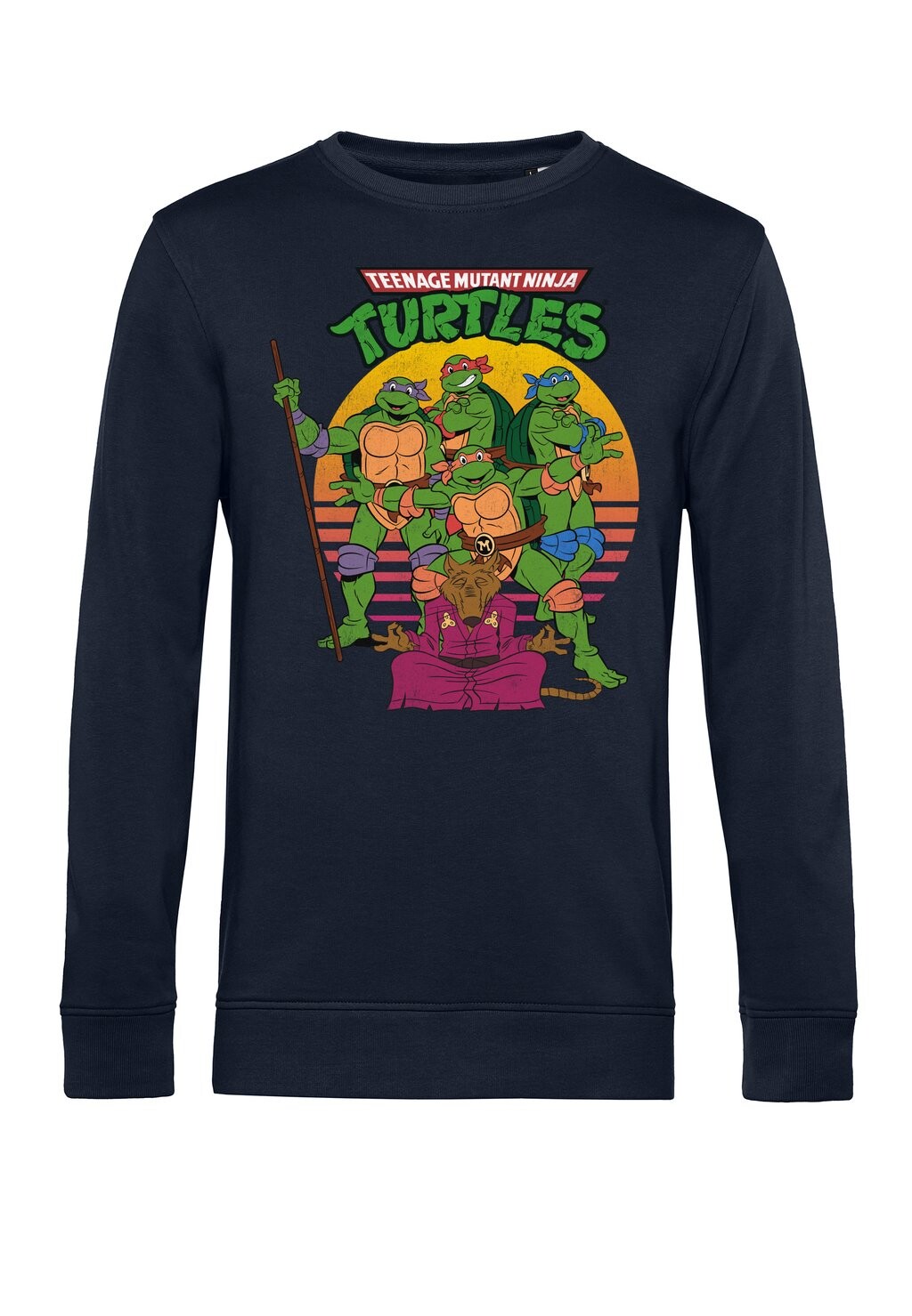 

Толстовка TEENAGE MUTANT NINJA TURTLES THE TEAM Henry Tiger, темно-синий