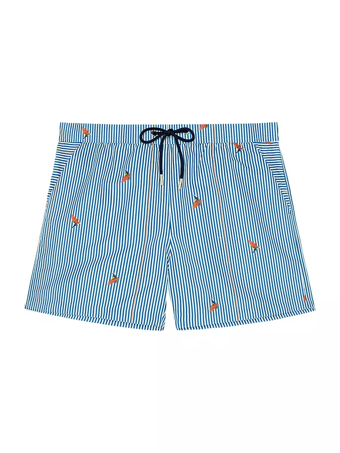 

Пляжные боксеры для плавания Raxo Hom, цвет blue white stripe