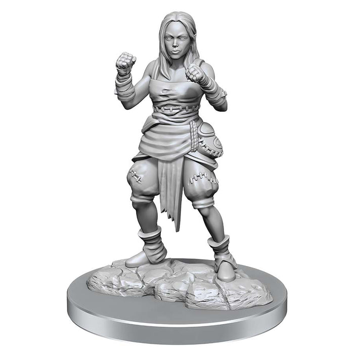 

Миниатюра Wizkids Pathfinder - Deep Cuts Unpainted Miniatures - W21 Human Half-Elf Monks