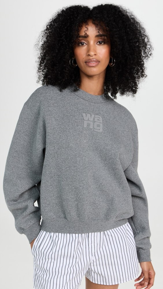 

Толстовка Alexander Wang Glitter Essential Terry with Puff Logo