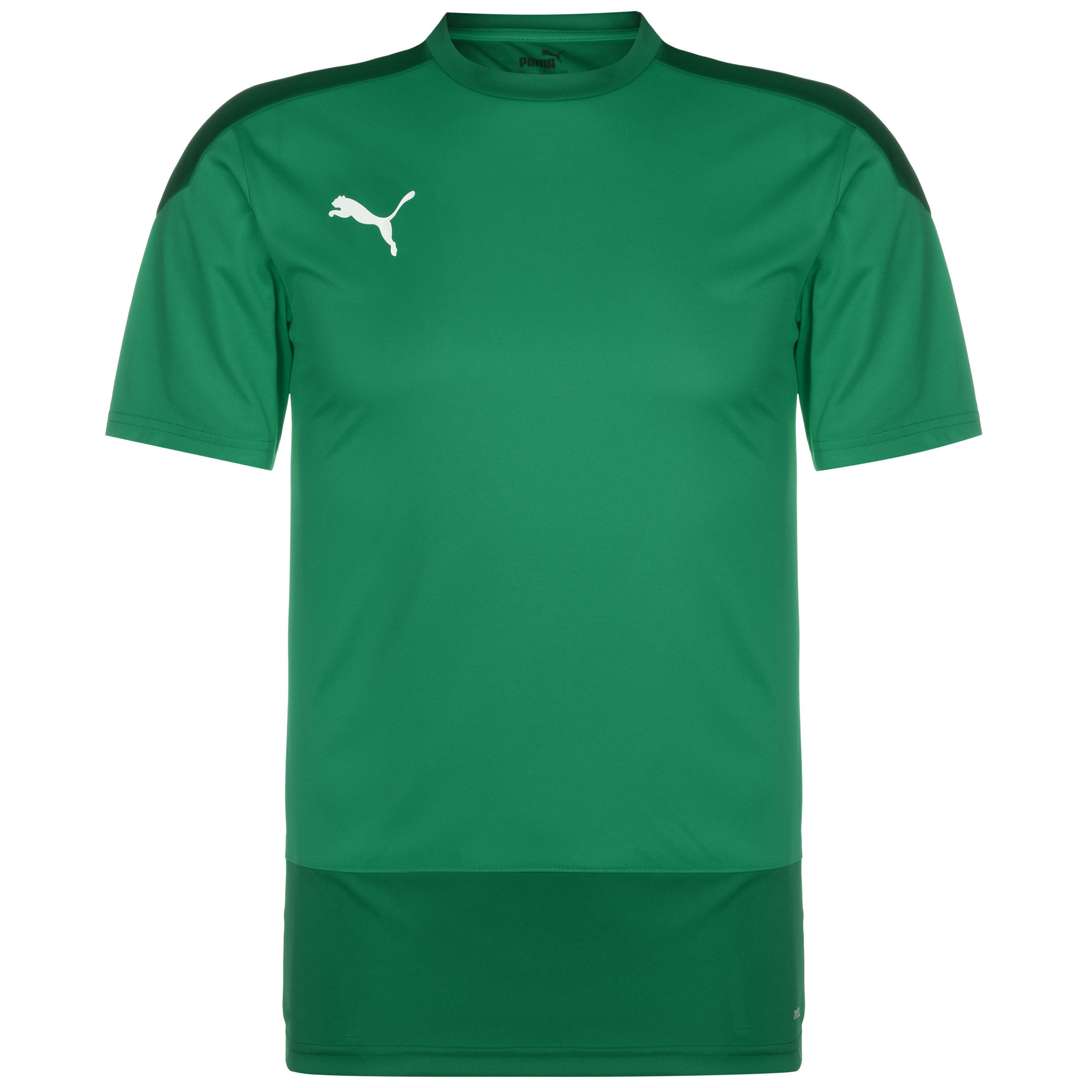 Рубашка Puma Trainingsshirt teamGoal 23, цвет grün/dunkelgrün