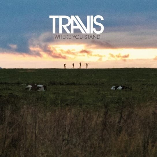 

Виниловая пластинка Travis - Where You Stand