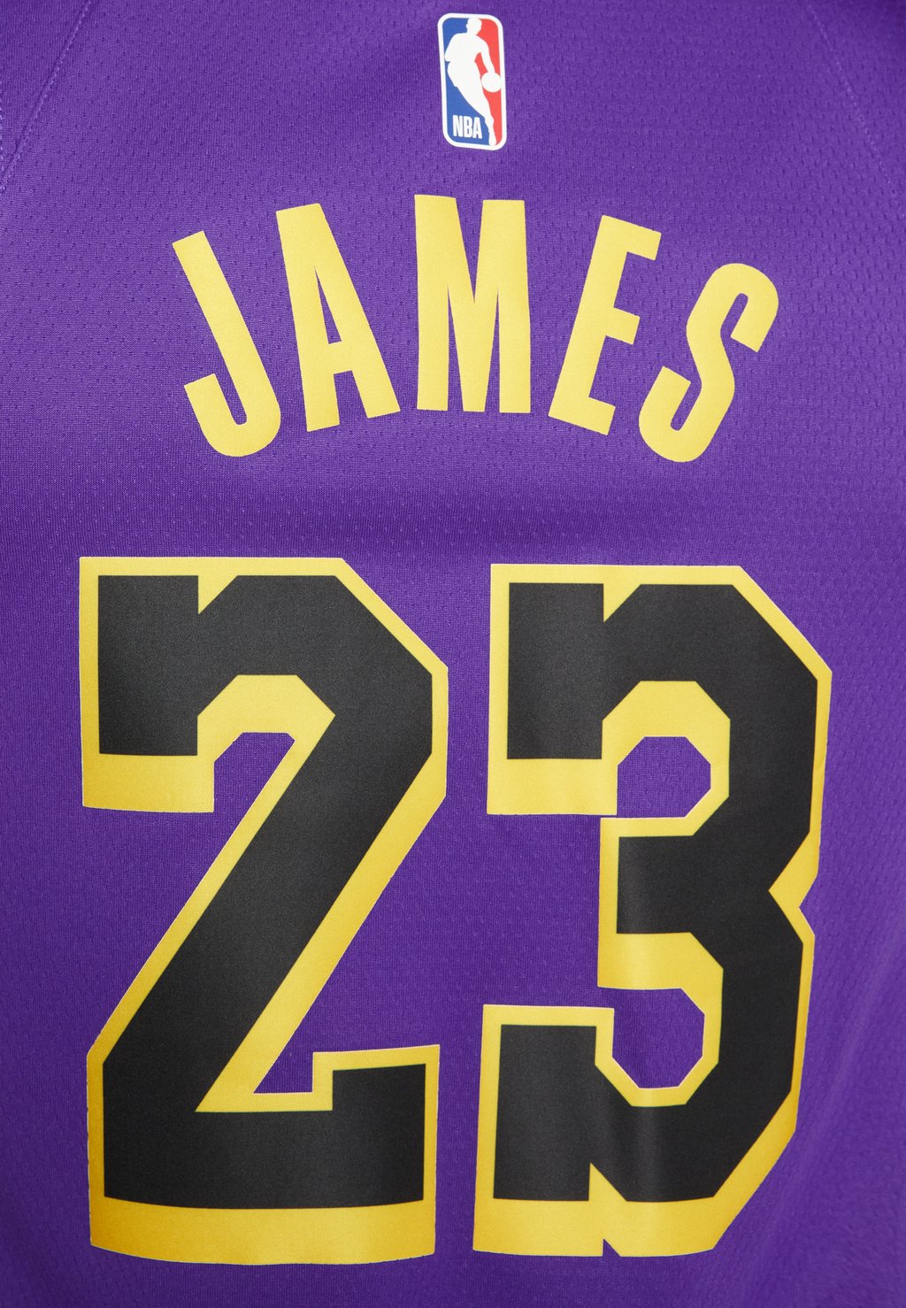 майка НБА Los Angeles Lakers Lebron James Nike, цвет field purple – купить  по выгодным ценам с доставкой из-за рубежа через сервис «CDEK.Shopping»