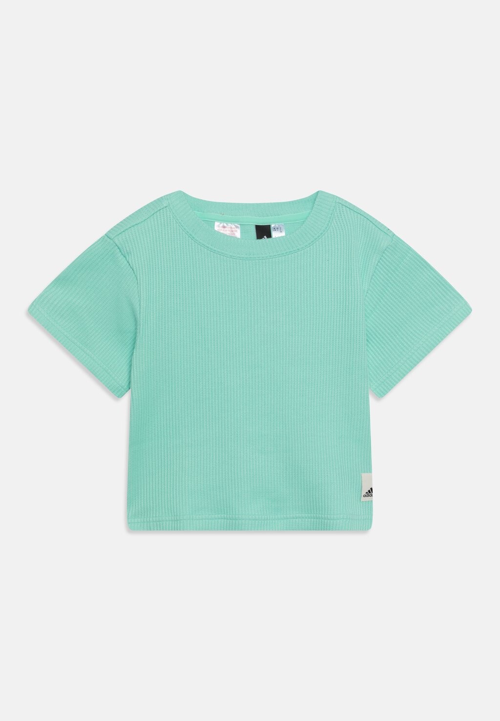

Футболка с принтом adidas Sportswear, цвет easy green/off white/black