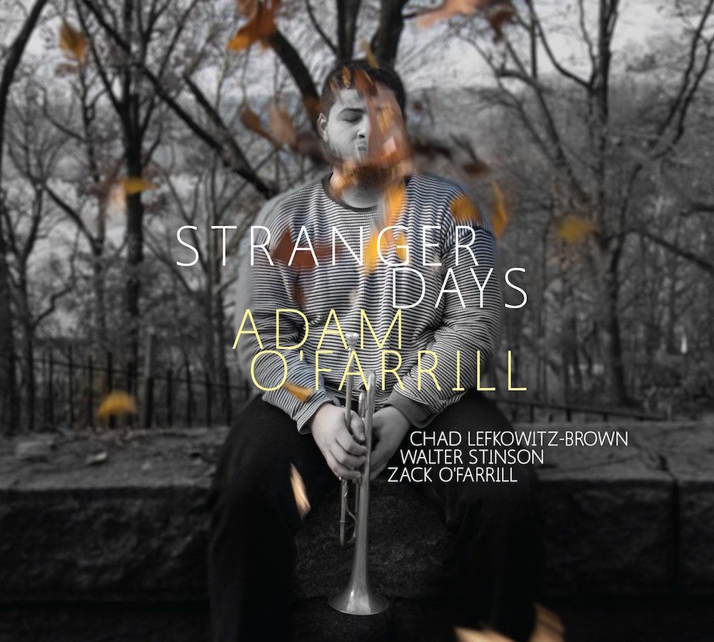 Stranger cd