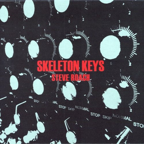 Виниловая пластинка Roach Steve - Skeleton Keys (LP)