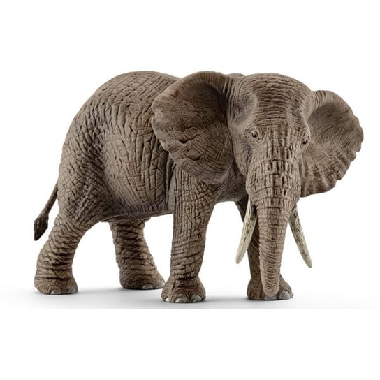 Schleich, статуэтка, Самка африканского слона фигурка schleich лабрадор самка 13834 5 см