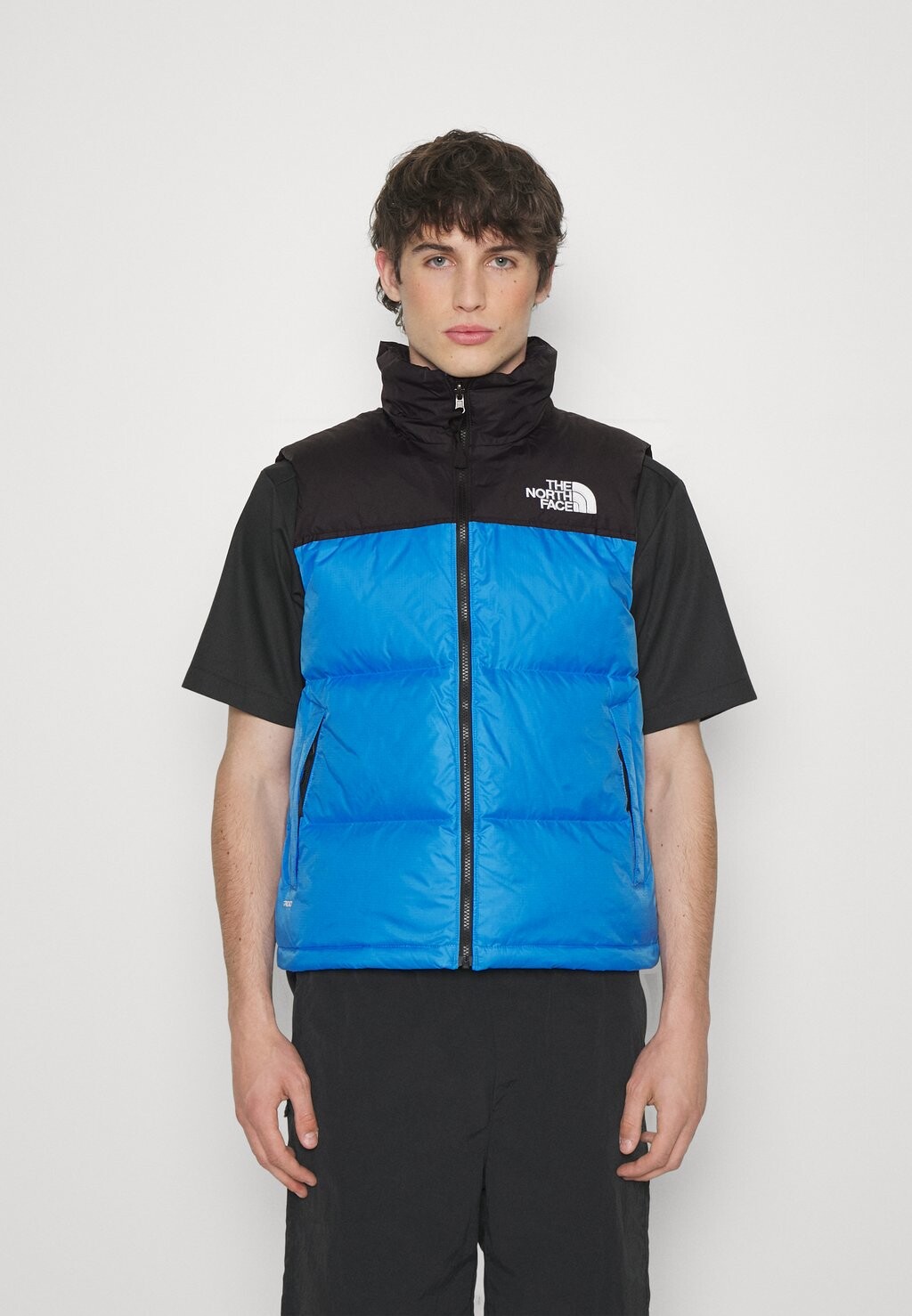 

Жилет The North Face