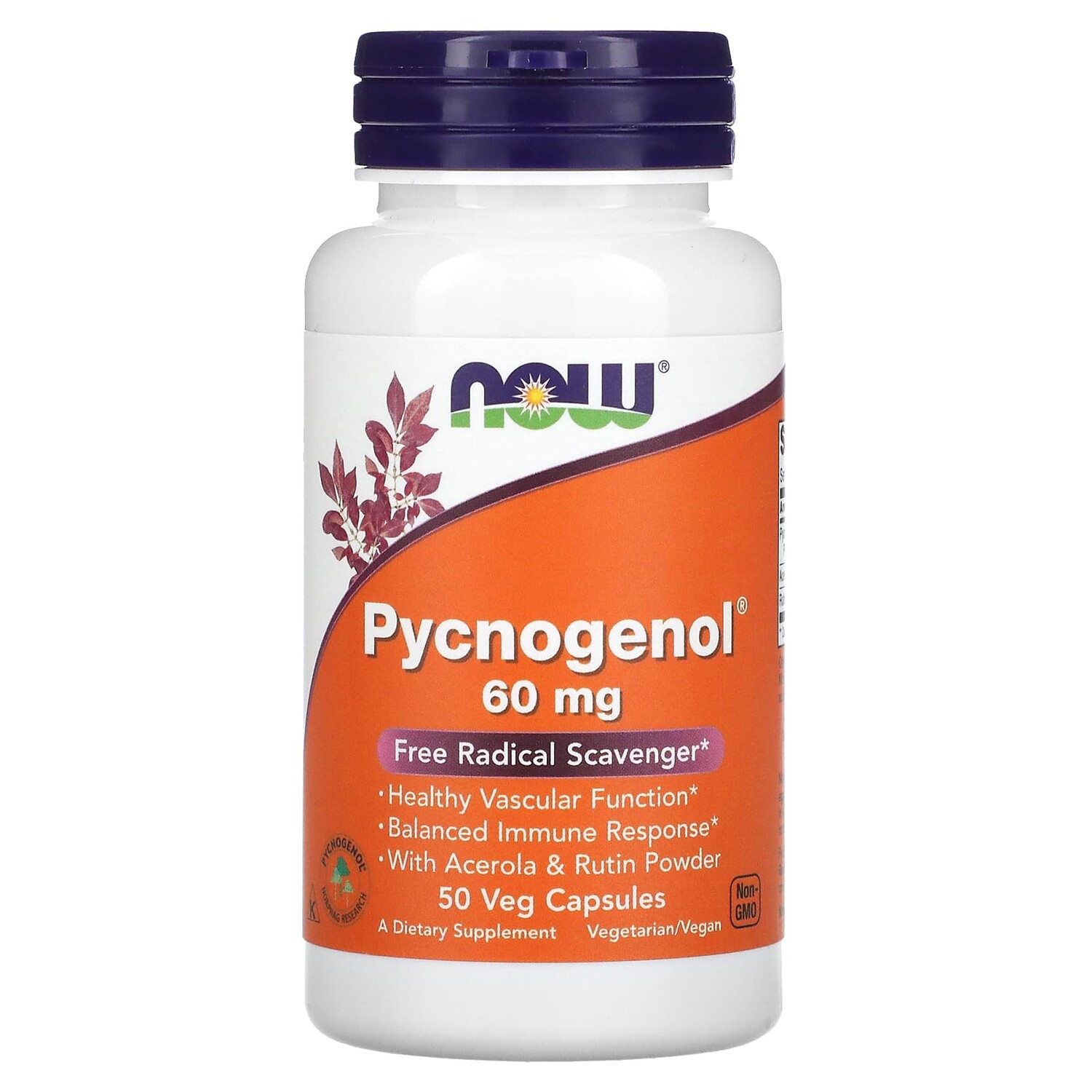 

Pycnogenol (пикногенол), 60 мг, 50 растительных капсул, NOW Foods