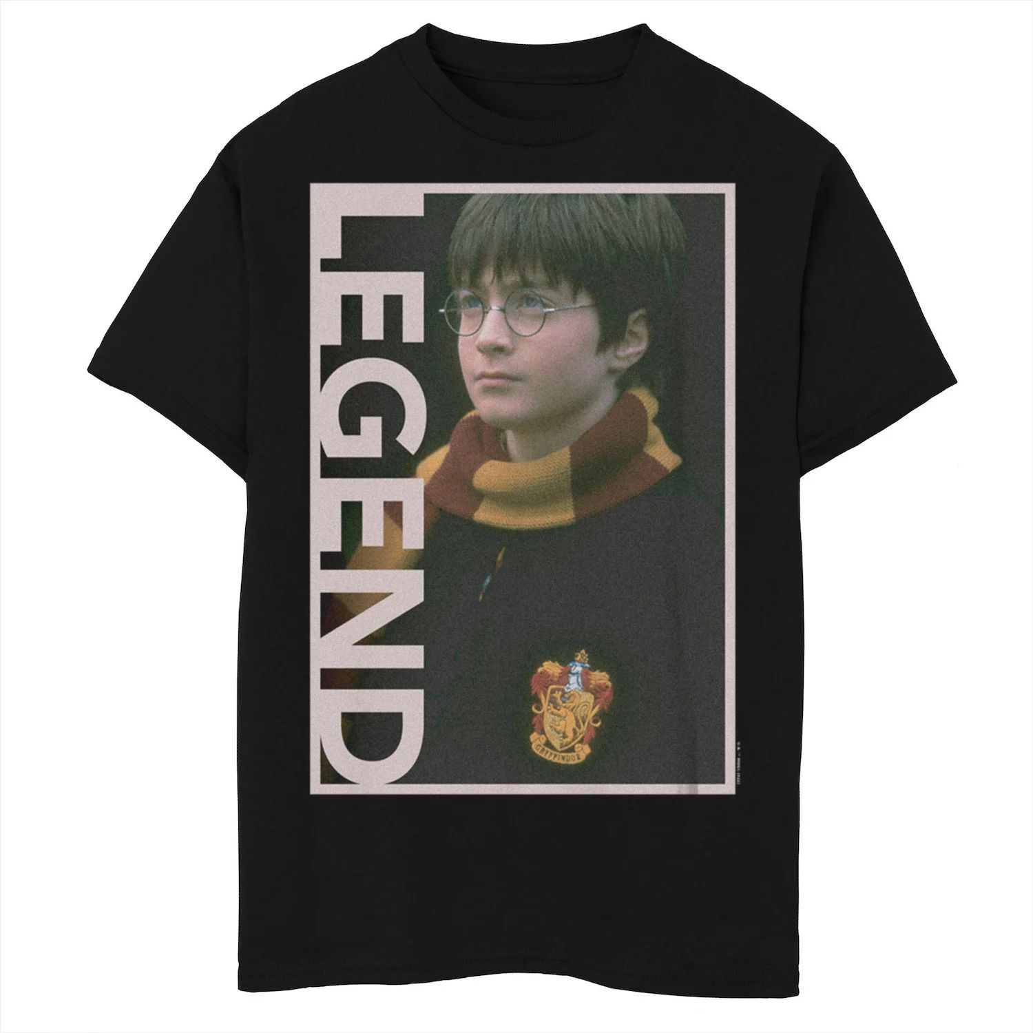 Футболка с портретом и портретом Гарри Поттера для мальчиков 8–20 лет Harry Potter