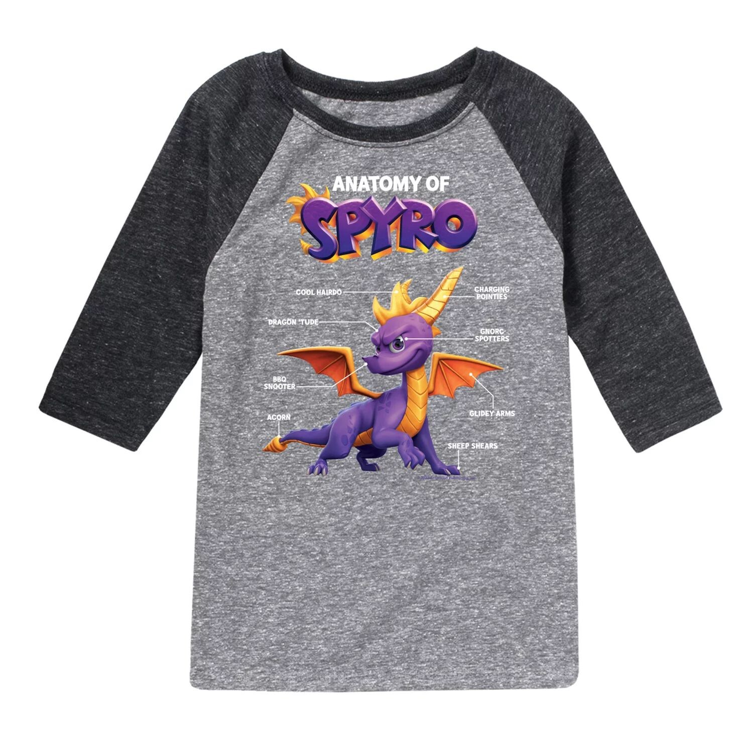 

Футболка Spyro Anatomy с рисунком реглан для мальчиков 8–20 лет Licensed Character