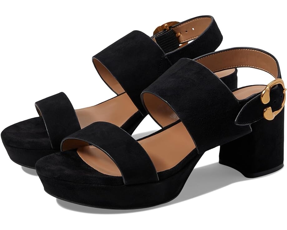 

Туфли Aerosoles Camera, цвет Black Suede