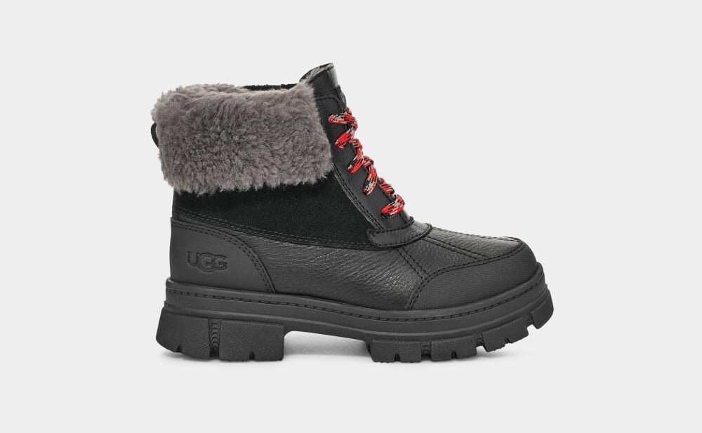 

Ботинки Ashton Addie UGG, черный