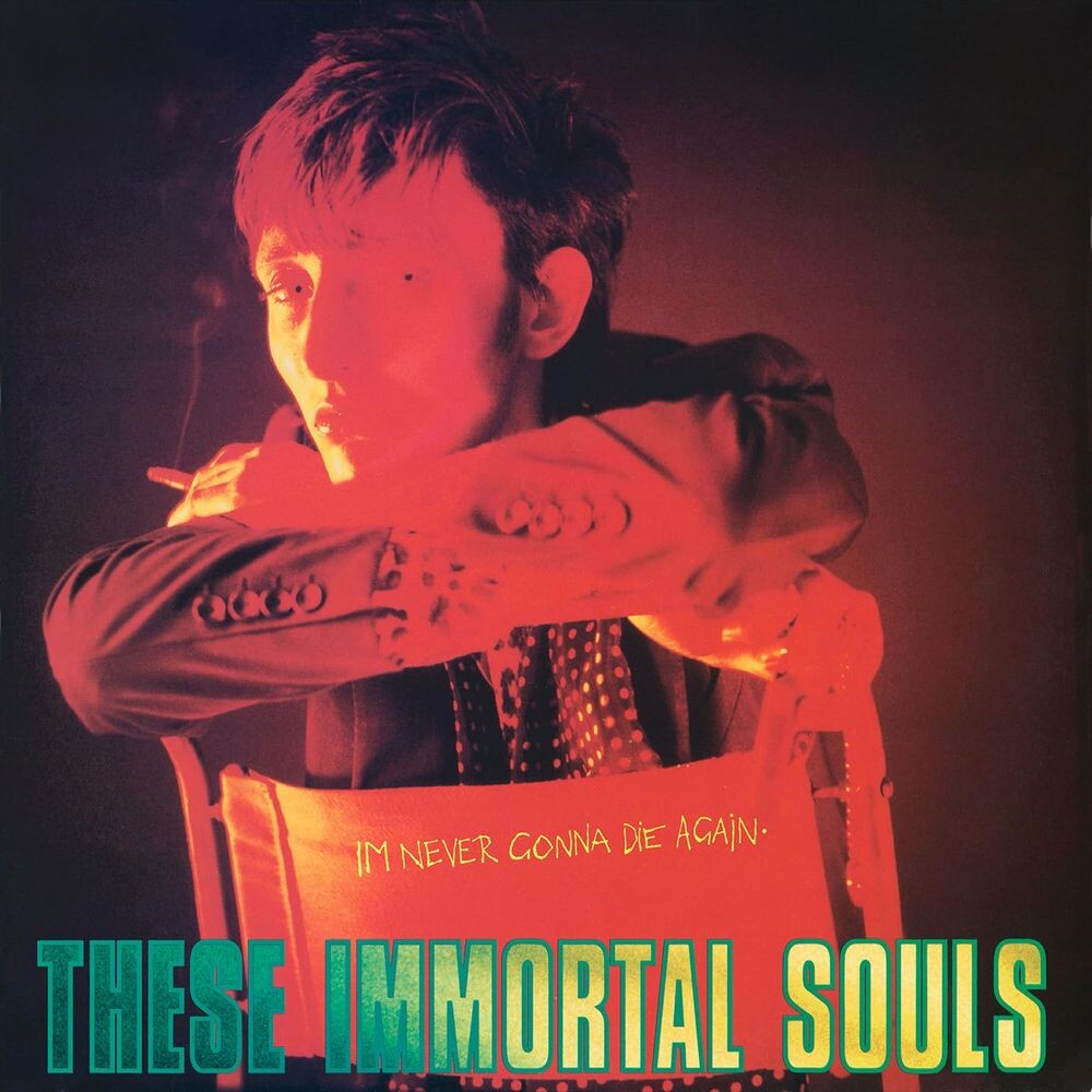 

Диск CD I'm Never Gonna Die Again - These Immortal Souls