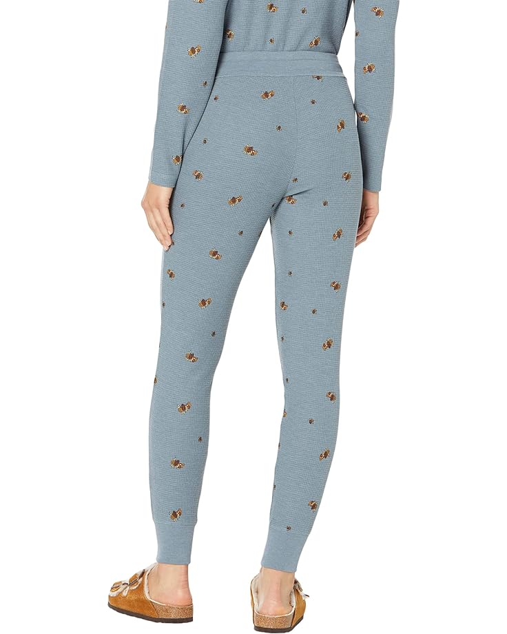 Брюки Toad&Co Foothill Joggers, цвет North Shore Motif Print