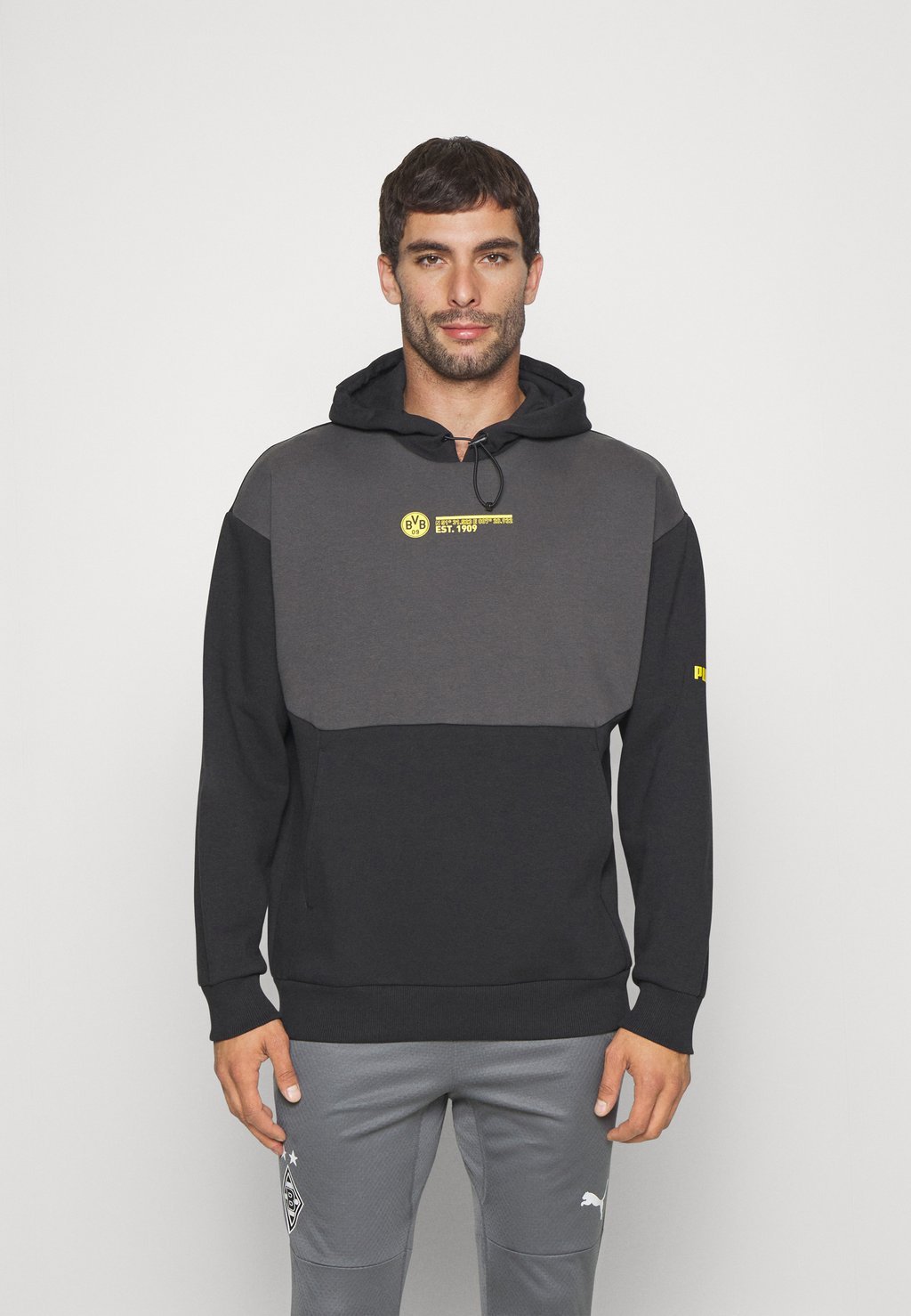 

Толстовка BVB BORUSSIA DORTMUND FTBLCULTURE HOODY Puma, темно-серый/черный