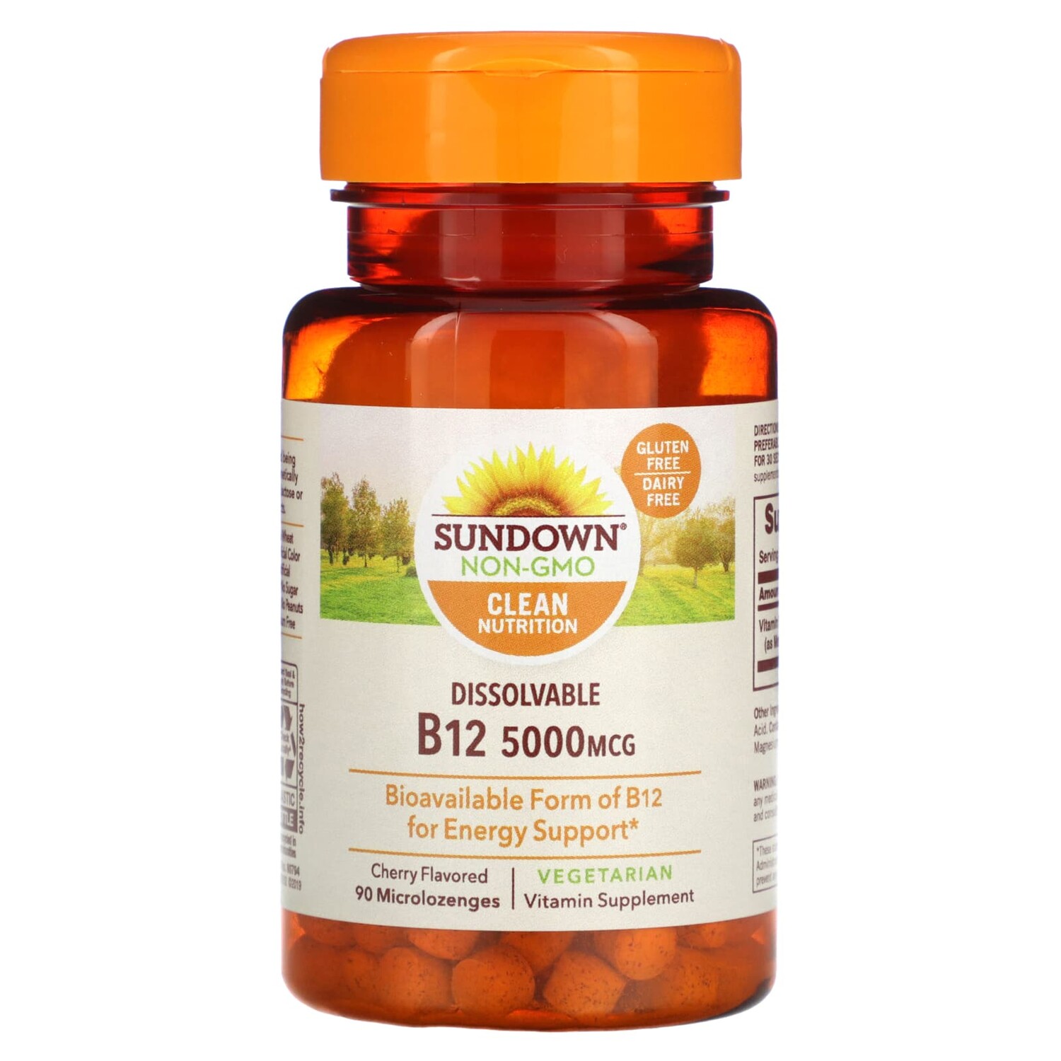 

Dissovable B12, вишня, 5000 мкг, 90 микролозиц, Sundown Naturals