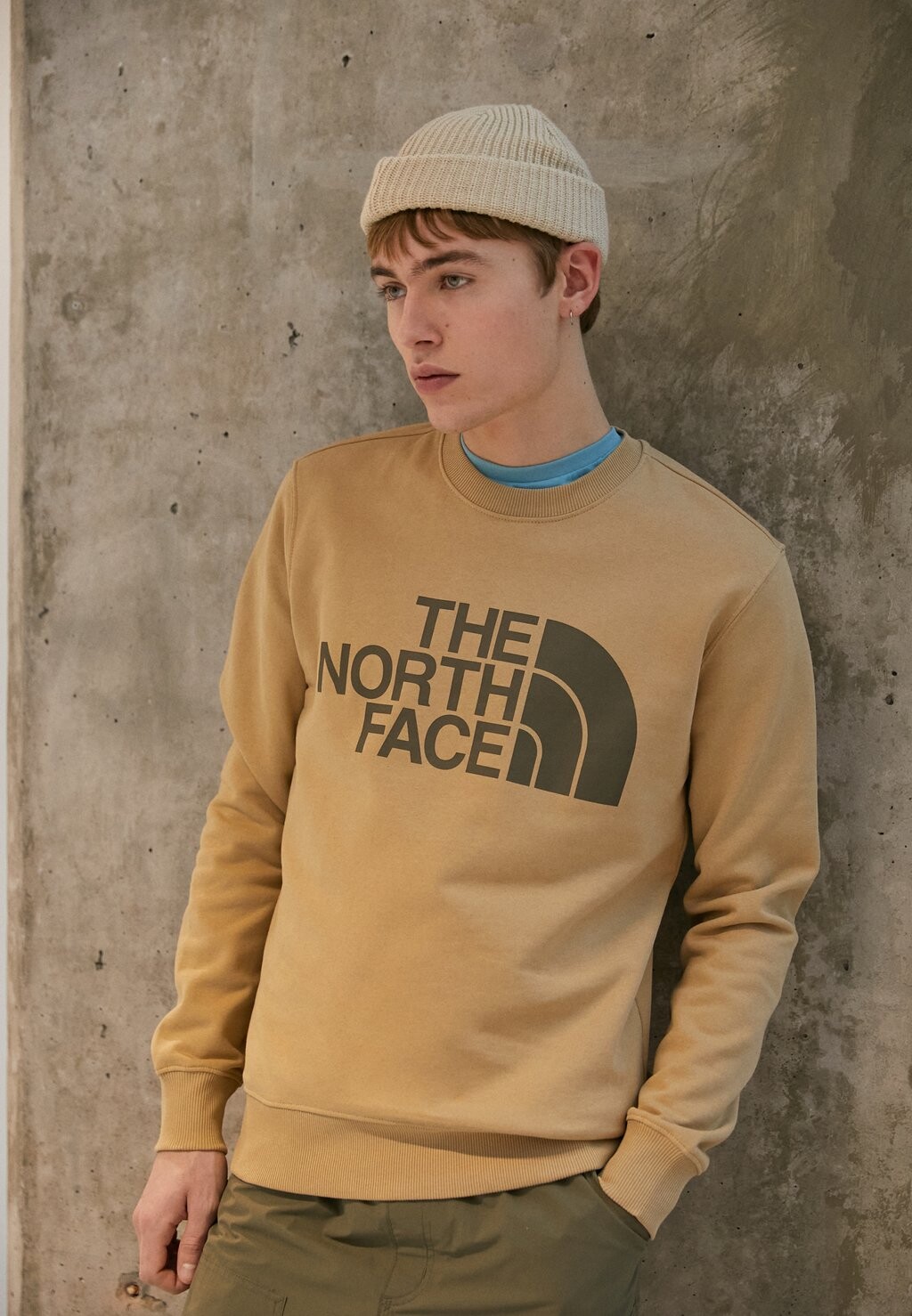 

Толстовка The North Face