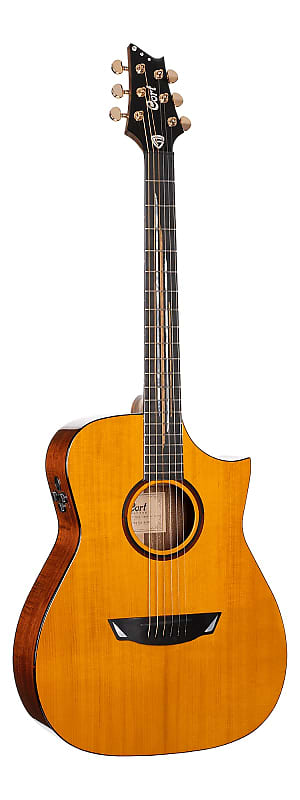 Акустическая гитара Cort Frank Gambale Signature LUXE II Natural Glossy w/Case цена и фото
