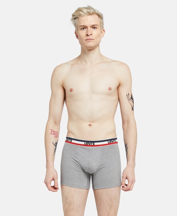 

Боксеры, комплект из 4 шт. Levi's, серый