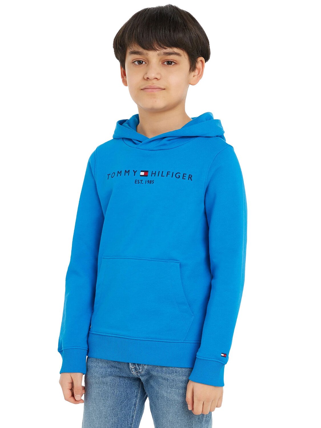 

Толстовка Tommy HILFIGER Essential для мальчиков, голубой