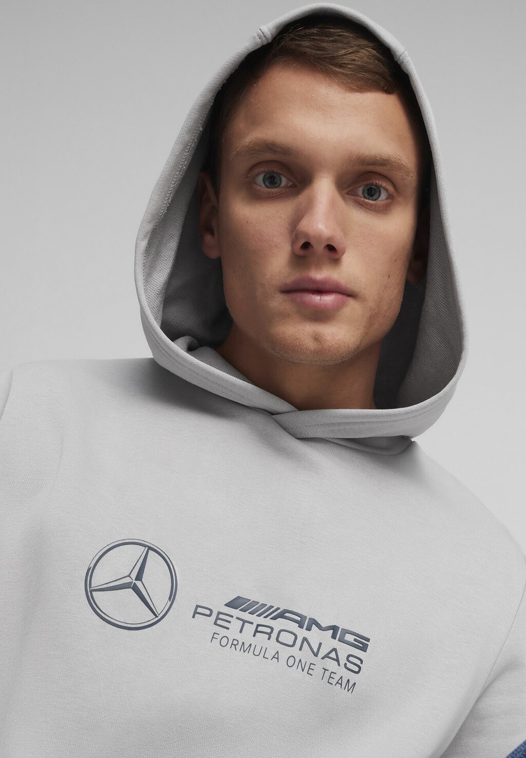 

Толстовка Mercedes-Amg Petronas Motor Puma, цвет team silver