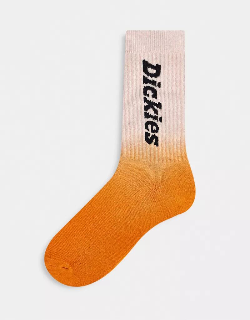 Оранжевые носки Dickies Seatac