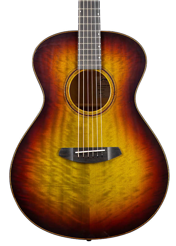 цена Акустическая гитара Breedlove Oregon Concert Earthsong LTD Acoustic Guitar Myrtlewood Myrtlewood