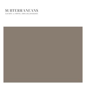 

Виниловая пластинка Basinski William - Subterraneans