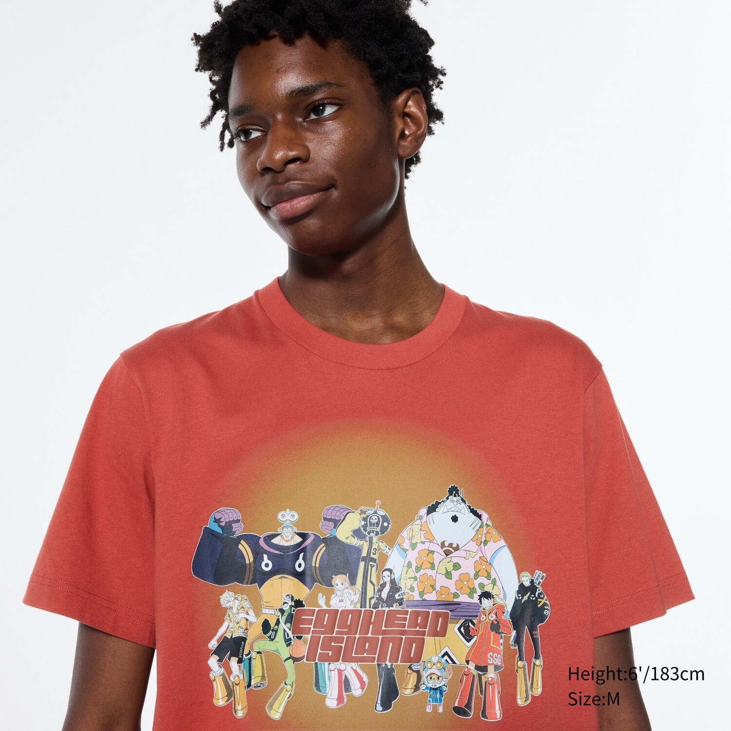 

Футболка с принтом UT ONE PIECE Anime 25th UNIQLO, темно-оранжевый