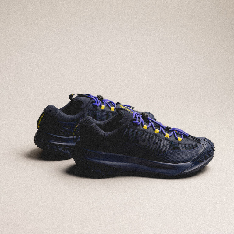 

Кроссовки Acg Mountain Fly 2 Low *Gtx* Nike, синий