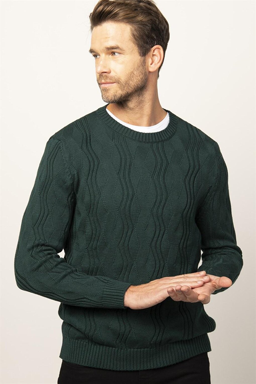 Мужской свитер узкого кроя с круглым вырезом и рисунком TUDORS, зеленый
