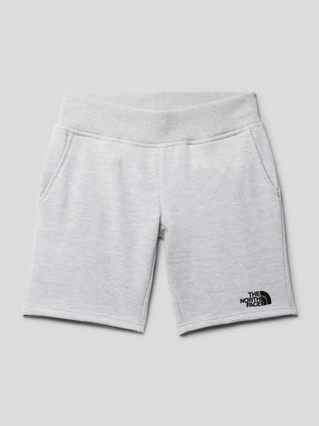 

Спортивные шорты с отстрочкой-лейблом The North Face, серый