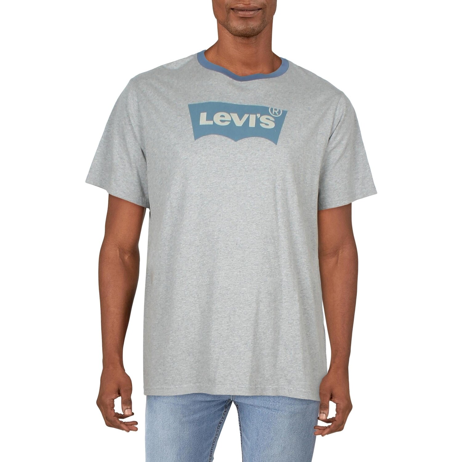 

Мужская хлопковая футболка с логотипом и рисунком Levi's, серый